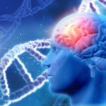 Epilepsi Nedir? Epilepsi Nedenleri Nedir?